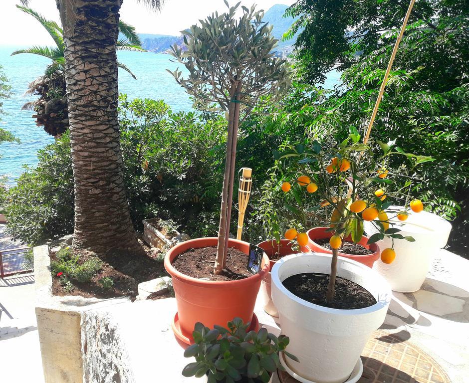 Two Palms * Сутоморе